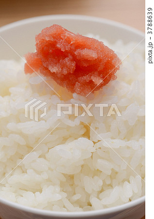 タラコ 生タラコ 生たらこの写真素材