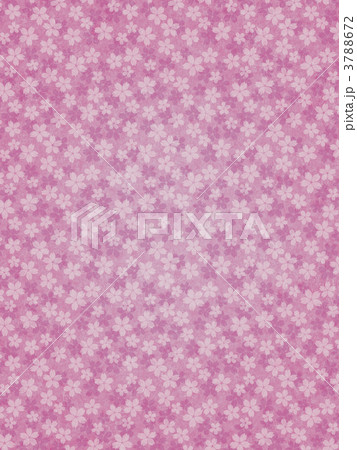 和紙　桜模様 3788672