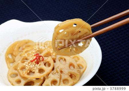 レンコンの煮物 3788999