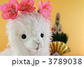 3789038