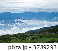 3789293