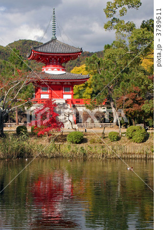 大覚寺・心経宝塔 3789611