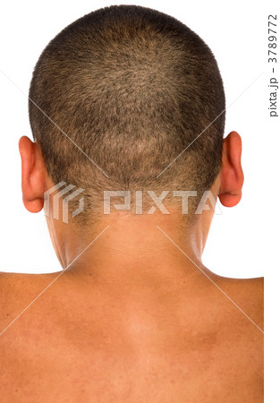 bald human head 3789772