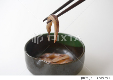 塩辛 塩辛 3789791