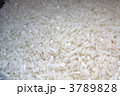 米 3789828