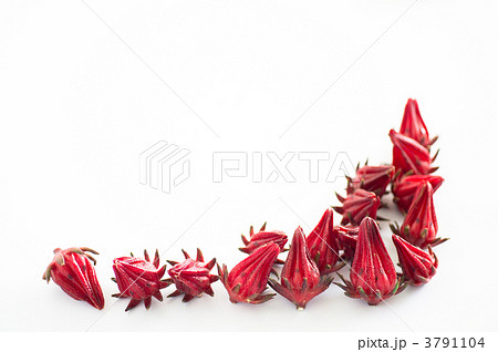 ローゼル ローゼル 3791104