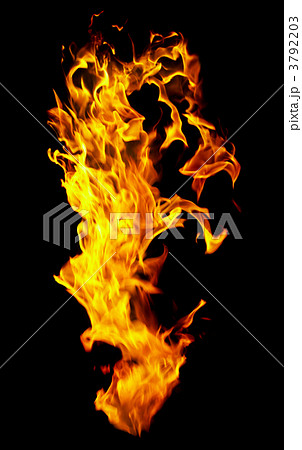 Fire photo on a black background Fire photo on a black background 3792203