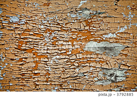Paint on Wood 3792885