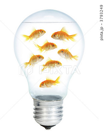 Gold small fish in light bulb Gold small fish in light bulb 3793249