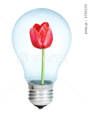 Electrobulb with a bunch of tulips Electrobulb with a bunch of tulips 3793255