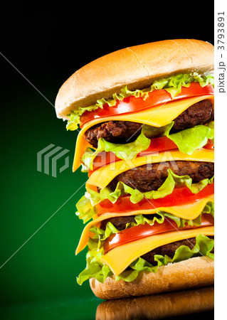 Tasty and appetizing hamburger on a darkly green Tasty and appetizing hamburger on a darkly green 3793891