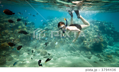 Snorkeler. Red sea 3794436