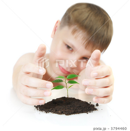 Young plant -- CONTEST 3794460