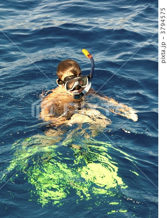 boy floats in the sea 3794575