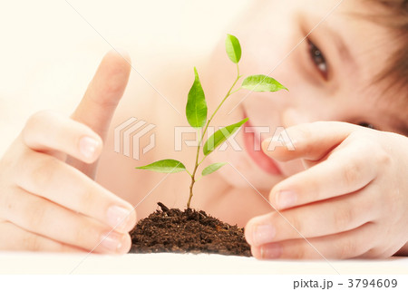 The boy observes cultivation of a young plant. 3794609