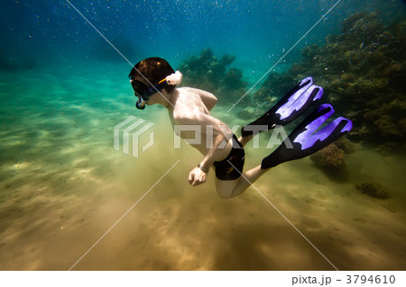 Snorkeler. the Red sea Snorkeler. the Red sea 3794610