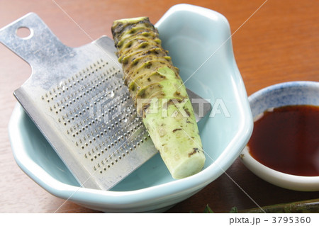 生わさび 3795360