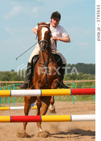 show jumping show jumping 3795633