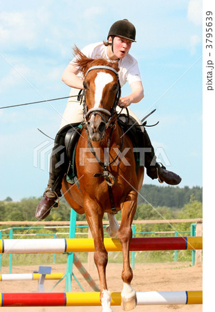 show jumping 3795639