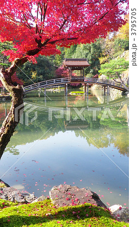永保寺庭園の紅葉 永保寺庭園の紅葉 3795705