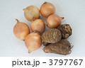 小玉たまねぎと里芋 3797767