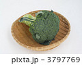 ブロッコリー 3797769