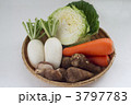 野菜集合2　横 3797783