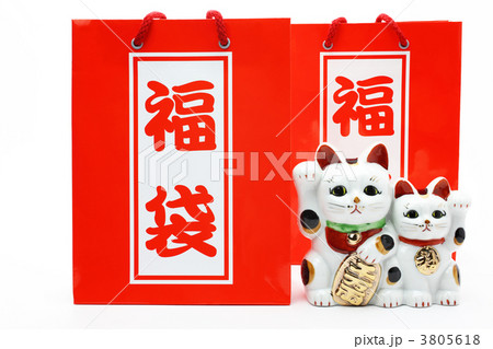 福袋と福猫の親子 3805618