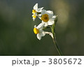 3805672