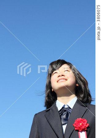 3806075