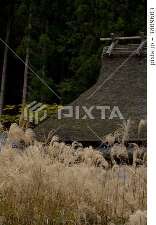 茅葺き屋根 3809603