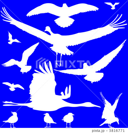 white birds silhouettes over blue white birds silhouettes over blue 3816771