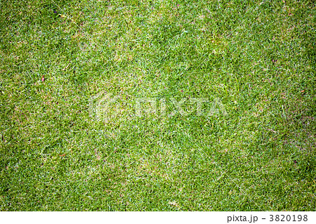grass texture background 3820198