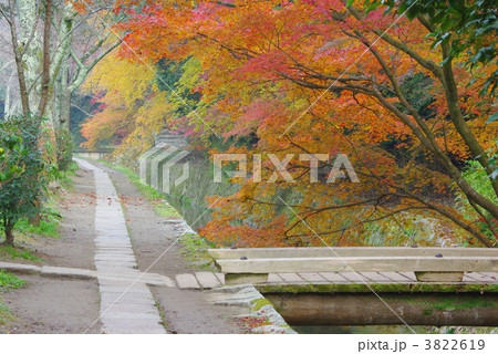 紅葉の哲学の道 3822619