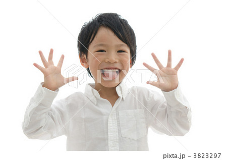白いシャツを着た男の子（白バック） 3823297