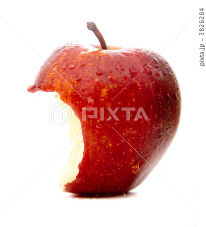 apple in red apple in red 3826284