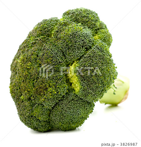 broccoli on white broccoli on white 3826987