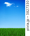 Grass and sky 3827330