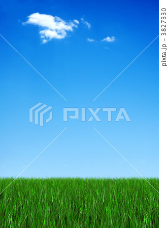 Grass and sky 3827330