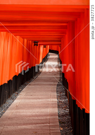 鳥居 3827725