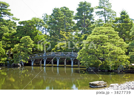京都御所 御池庭と欅橋 京都御所 御池庭と欅橋 3827739