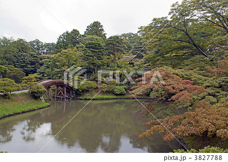 桂離宮　賞花亭から書院へ続く土橋 3827788