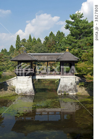 修学院離宮　上離宮の千歳橋 3827808
