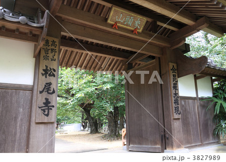金毘羅大権現を祀る寺、香川県琴平町「松尾寺」山門 3827989