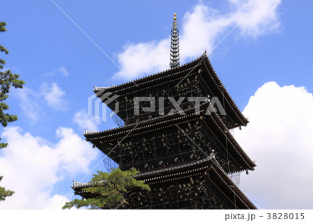 四国霊場第75番札所「善通寺」東院（伽藍）の五重塔 3828015