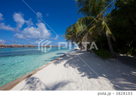 モルディブの海 3828103