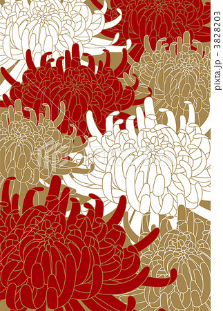 菊の花のイラスト素材 3828203 Pixta