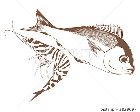 魚・えび 3829097