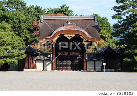 京都御所建春門 3829102