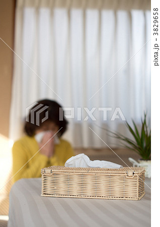 ティッシュ_鼻をかむ ティッシュ_鼻をかむ 3829658